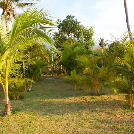 Bali Oase Resort Pemuteran Extérieur photo