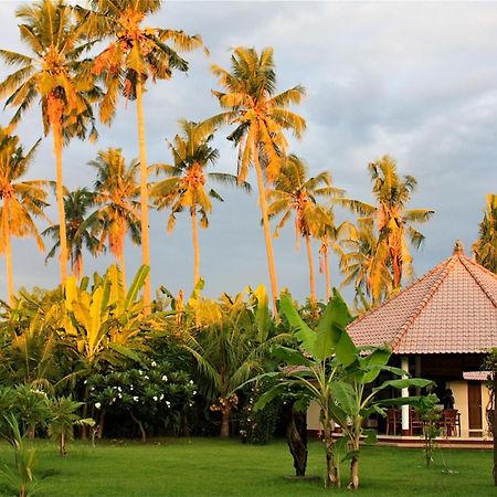 Bali Oase Resort Pemuteran Extérieur photo
