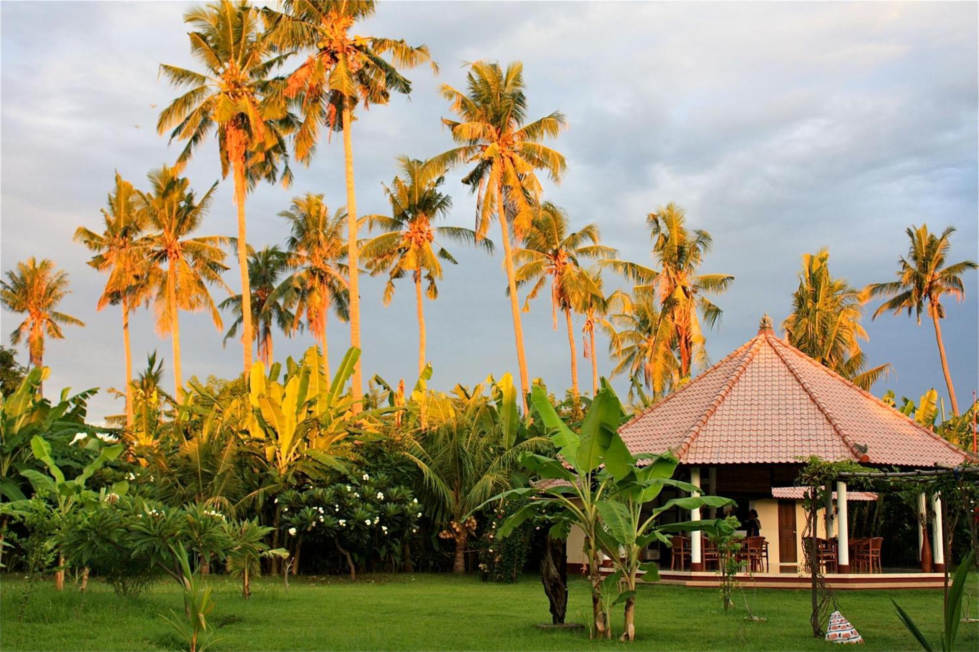 Bali Oase Resort Pemuteran Extérieur photo